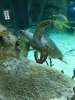 IMG-20190817-WA0022.jpg