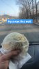 957DEA1E-A6C7-40F7-8F78-D9CE0F03944E.jpeg