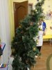 IMG-20191217-WA0007.jpg