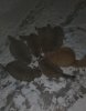 IMG_20200229_202751.jpg