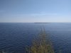 IMG_20200503_122040.jpg