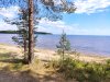 IMG_20200616_130701.jpg