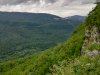 IMG_20200620_131224.jpg