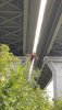 IMG-20200822-WA0002.jpg