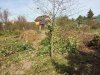 20200907_061702.jpg