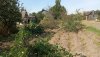 20200907_061705.jpg