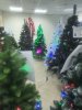 20201213_185245.jpg