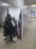 20201213_185305.jpg