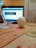 IMG_20210127_020855.jpg