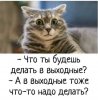 B59C7F07-146C-4D28-95FB-6967D64C7076.jpeg