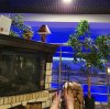 IMG_20220312_222711_623.jpg