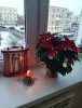 IMG20221125152059-01-min.jpeg