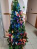 IMG20221205154623.jpg