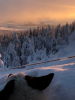 C0487319-0AB6-4278-BEEC-4E96EE8AF091.png
