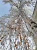 IMG20231206161343-01.jpeg