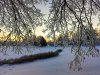 IMG20231206155702_01-01.jpeg