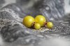 DSC_0351.JPG