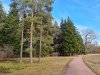 IMG20240327151226-01.jpeg