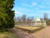 IMG20240327152815-01.jpeg