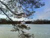 IMG20240327160327-01.jpeg
