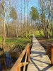 IMG20240427152906-01.jpeg
