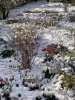 IMG_8970.jpeg