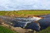IMG20240505174329-01.jpeg