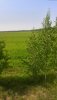 WP_20190528_09_40_55_Pro.jpg