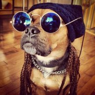 Cool