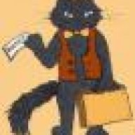 kitten-c