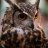 Owlsova178