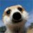 sergey_s